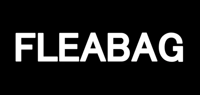 Poster or title image for Fleabag / 伦敦生活